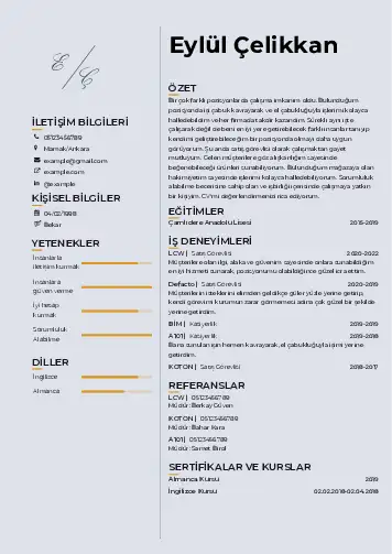 cv indir